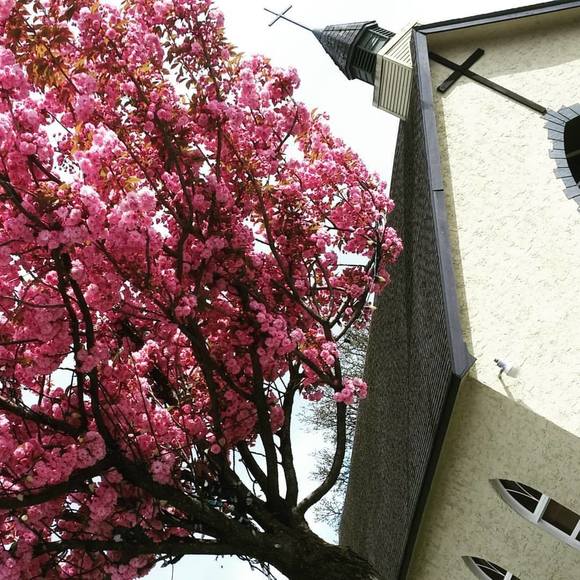 Meet your Posher, Christina - Picture 1 of 1